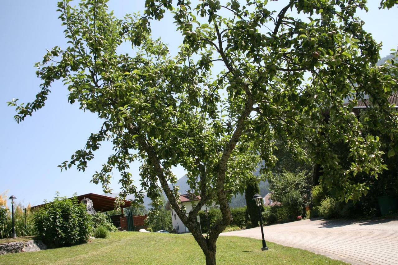 Апартаменты Haus Montana Эльбигенальп Экстерьер фото